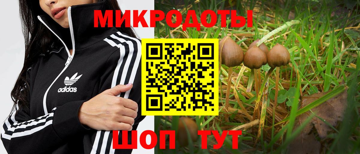Псилоцибиновые грибы ЛСД Торжок