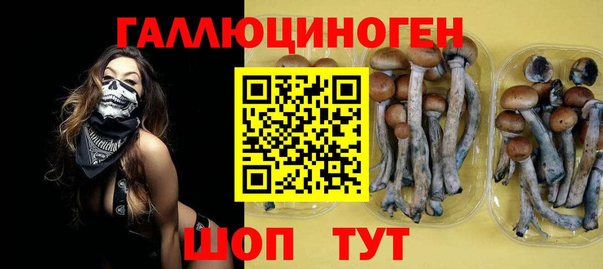 Псилоцибиновые грибы мицелий  Псилоцибиновые грибы MAGIC MUSHROOMS  Торжок  Вход с VPN 